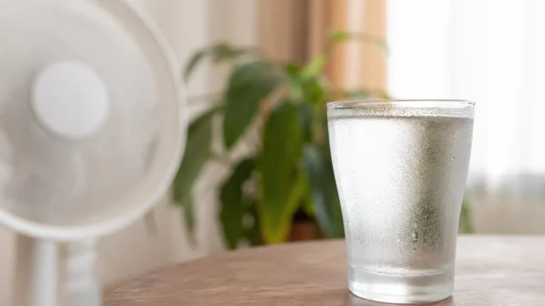 Comment se rafraîchir lors d'une canicule ? 5 conseils simples et efficaces