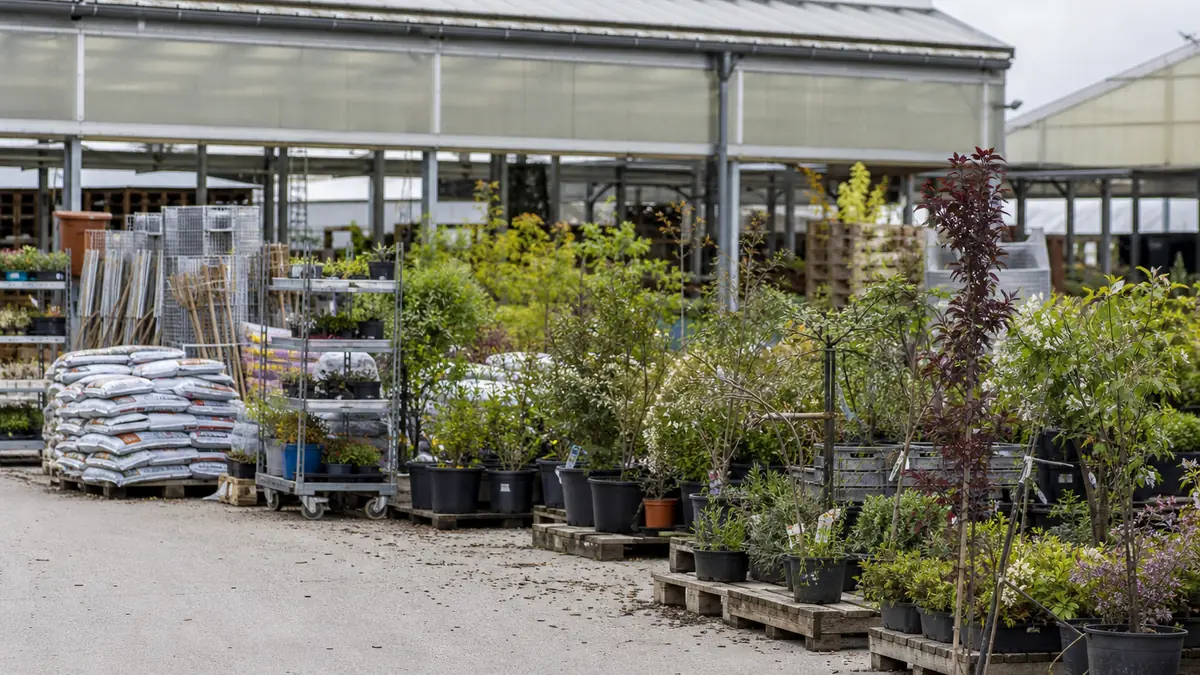 Pourquoi Jardiland ferme-t-il ?