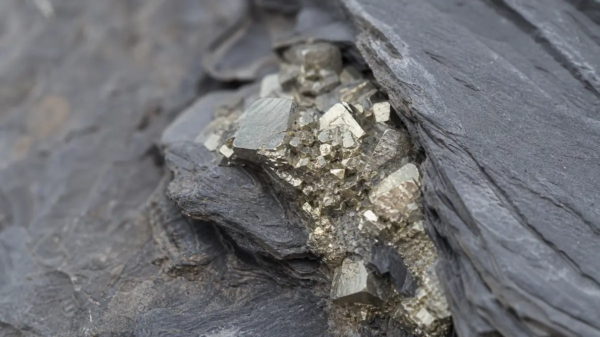pyrite ardoise